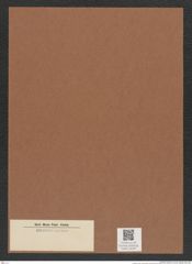 Diatomeae indet. Zeichnungen Sammlung Grunow Mappe 04397 (Herbarium_W_Grunow_drawings_Folder_04397)